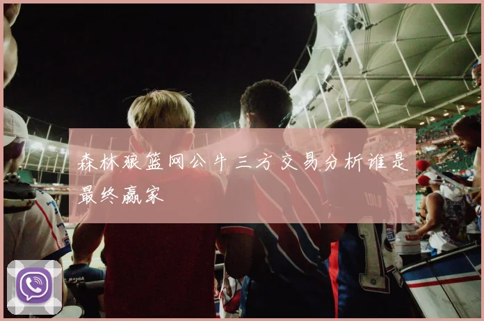 森林狼篮网公牛三方交易分析谁是最终赢家