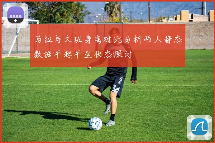 马拉与文班身高对比分析两人静态数据平起平坐状态探讨